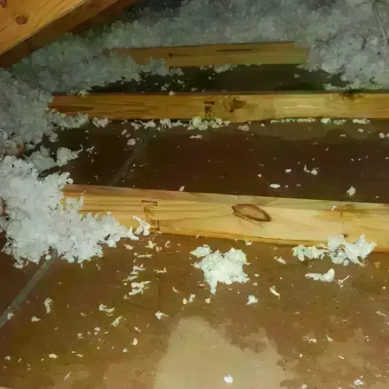 Attic Water Damage in Johnston, IA