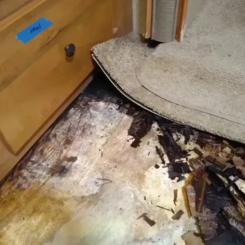 Best Wood Floor Water Damage Service in Johnston, IA